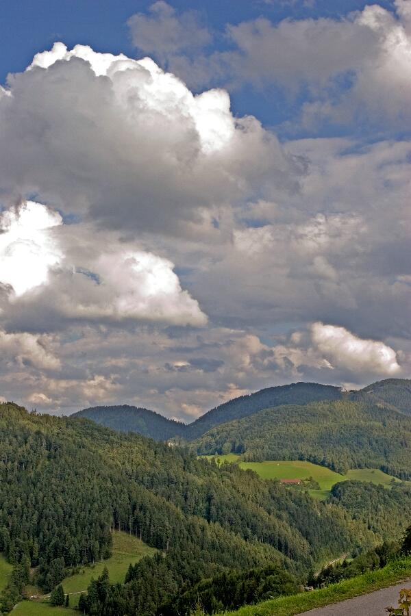 Foto 6/24 (nahe Hausstein bei Frankenfels, Pielachtal)